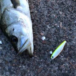 ちょっと涼しい