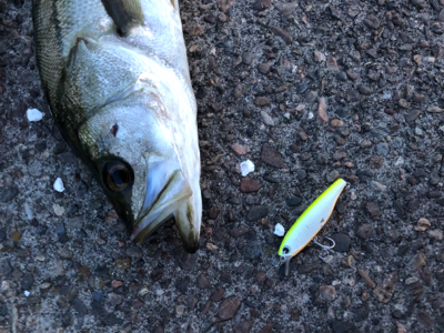 ちょっと涼しい