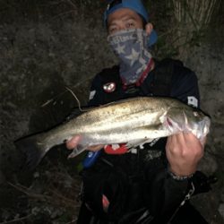 サマーパターン