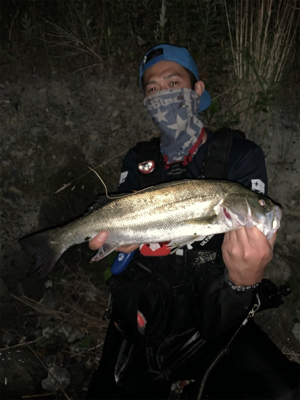 サマーパターン