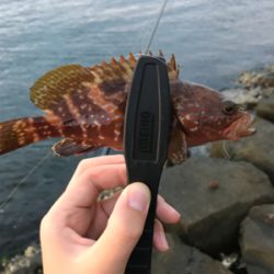 根魚を求めて②