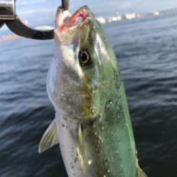 サイズが伸びない