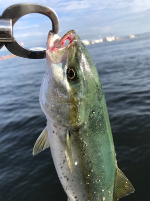 サイズが伸びない