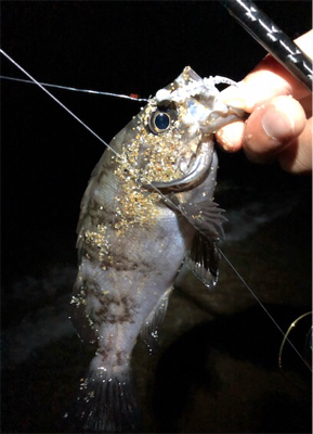 サーフフロートメバリング