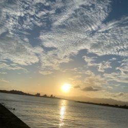 仕事前に釣りへ行くと…なにこれ