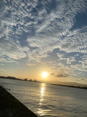 仕事前に釣りへ行くと…なにこれ