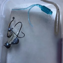 アジング  みたいなバス釣り。