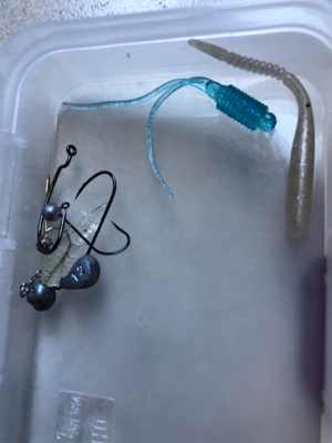 アジング  みたいなバス釣り。