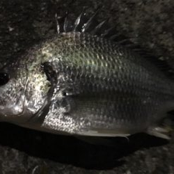 流れが出たらやはりでた！