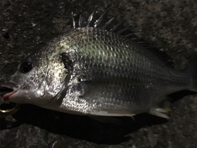 流れが出たらやはりでた！