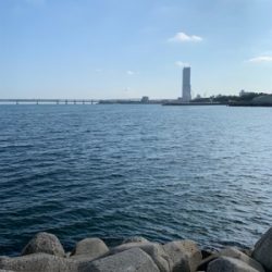 盆休みアジング