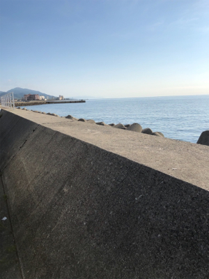 ミニタチウオ様様