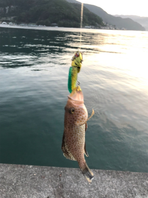 オオモンハタゲーム