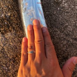 今年初の太刀魚!