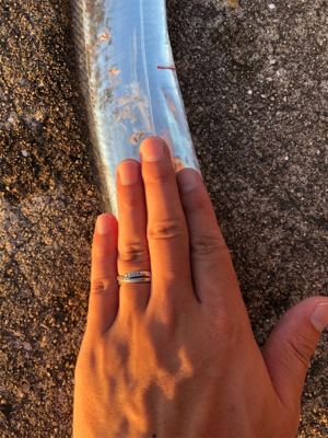 今年初の太刀魚!