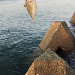 キスは早朝が狙い目(^^)