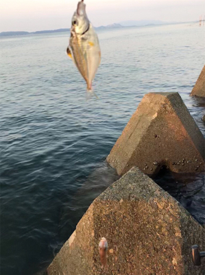 キスは早朝が狙い目(^^)