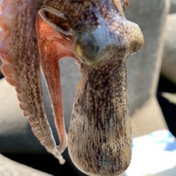 盆休み、1日目。