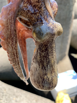 盆休み、1日目。