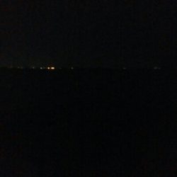 ケンサキイカ1杯　激渋！！