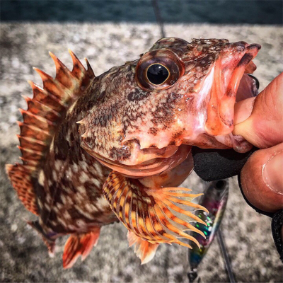 ショアジギング