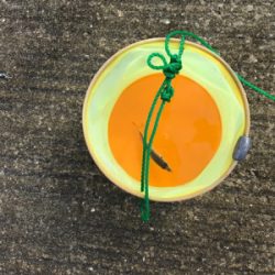 南港ジグサビキー