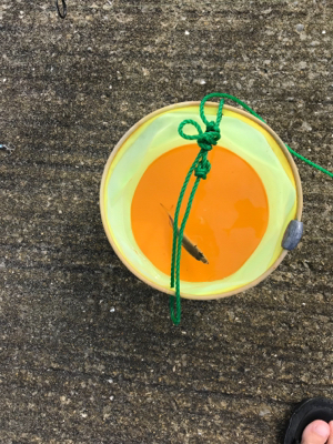 南港ジグサビキー