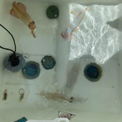 マイボートでデイイカメタル