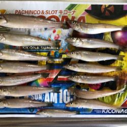 ちょい投げでキス