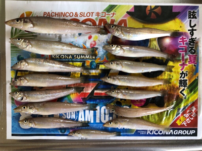 ちょい投げでキス