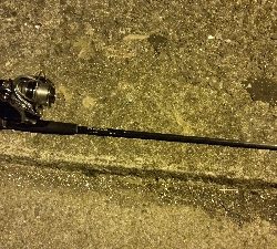 アジングしてたらタチウオ×2