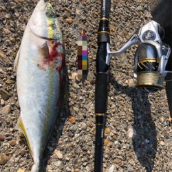 毎度毎度ツバッシング