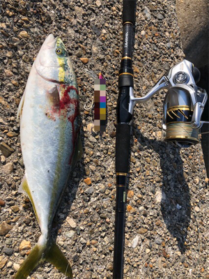 毎度毎度ツバッシング