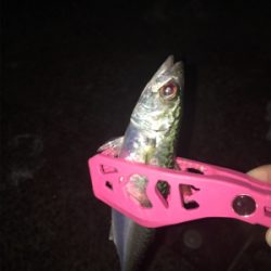 あなたは誰?メッキさん?