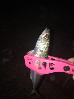 あなたは誰?メッキさん?