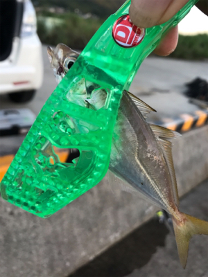 アジングからのサビキ釣り