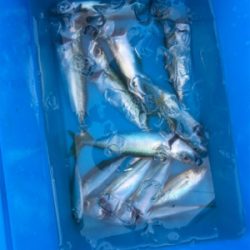 ファミリーフィッシング