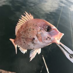 フラットゲームは…