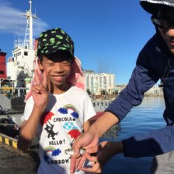 子供でもサビキ楽ちん。暑いけど…