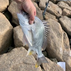台風前に夕方のぶっ込み釣り