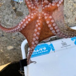 盆休み3日目、まぁまぁ!