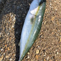 爆風ツバッシング