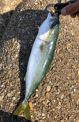 爆風ツバッシング