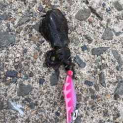 丹後の漁港ランガン❗️