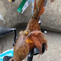 盆休み5日目もう終わり?