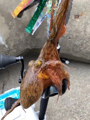 盆休み5日目もう終わり？