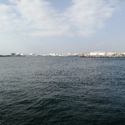 ジグサビキにて