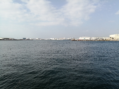 ジグサビキにて