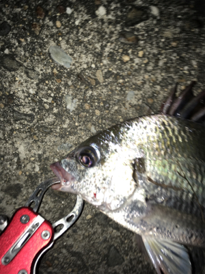 根掛かりばっかり