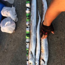 ショアでドラゴンゲット